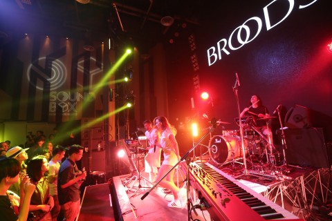 Broods