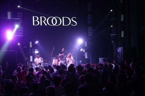 Broods